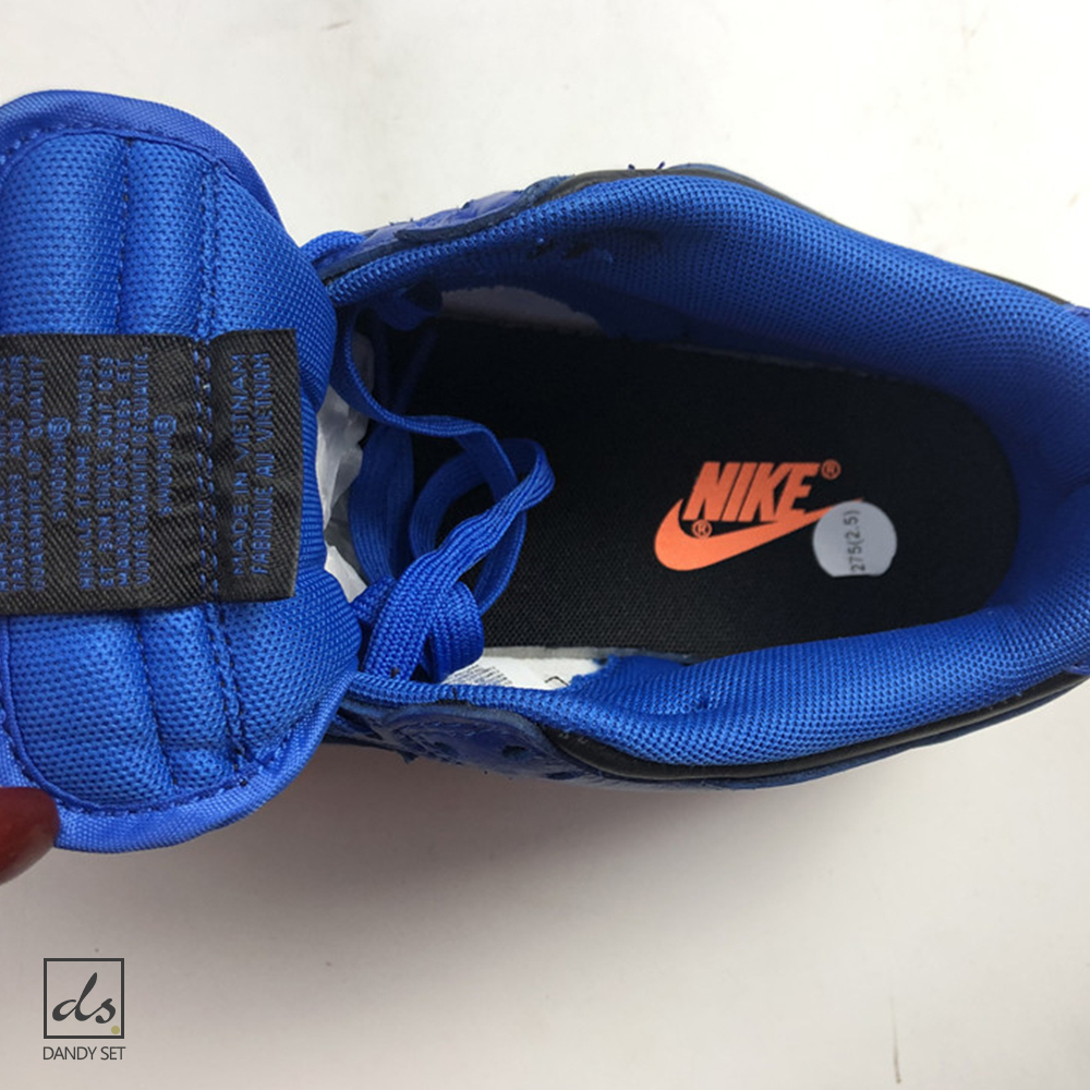 Nike Dunk Low Retro Hyper Cobalt  (5)